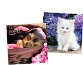 (image for) CALENDAR 2024 KITTENS&PUPPIES - SQUARE