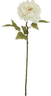 (image for) JL ART FLOWER PEONY OFFWHT 5H - STD