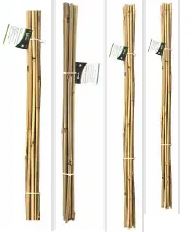 (image for) GREEN BLADE BAMBOO CANE 10S - 60CM