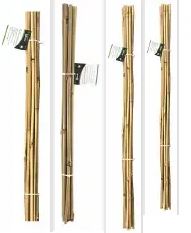 (image for) GREEN BLADE BAMBOO CANE 10S - 90CM