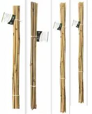 (image for) GREEN BLADE BAMBOO CANE 10S - 120CM