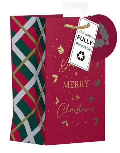 (image for) XMAS GIFT BAG CHRISTMAS WISH - SMALL 