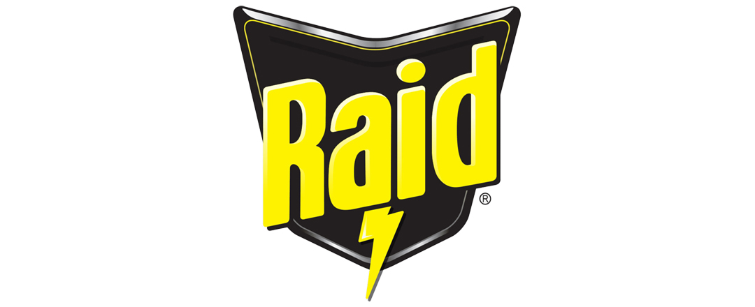 (image for) RAID